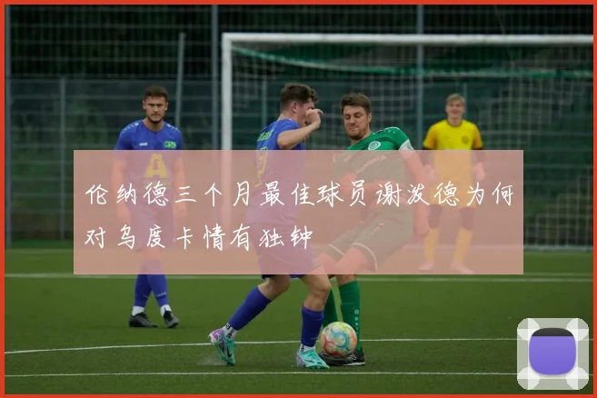 伦纳德三个月最佳球员谢泼德为何对乌度卡情有独钟