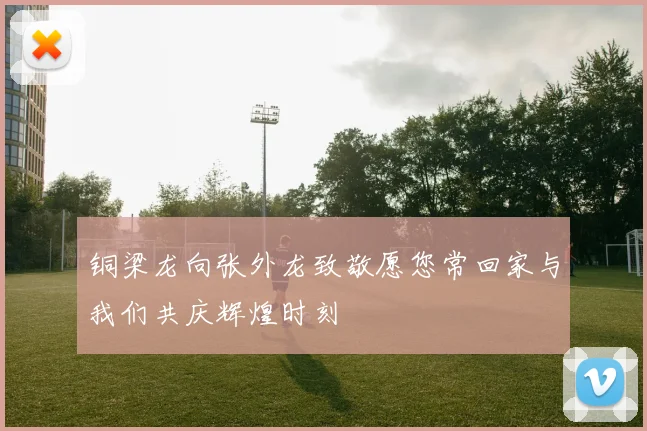 铜梁龙向张外龙致敬愿您常回家与我们共庆辉煌时刻